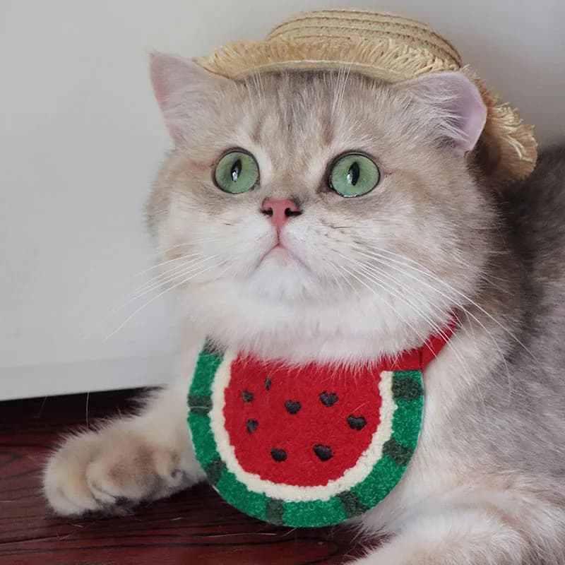 Salvietta per la saliva degli animali domestici, Bavaglino per collare di cani e gatti, Sciarpa a forma di anguria con motivo cartone animato per cuccioli, Accessori per travestimenti per animali domestici