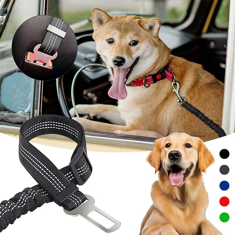 Cintura di sicurezza per cani da compagnia Imbracature regolabili Cintura di sicurezza per cani elastica in nylon Riflettente Durevole Corda sicura per auto da viaggio per cuccioli