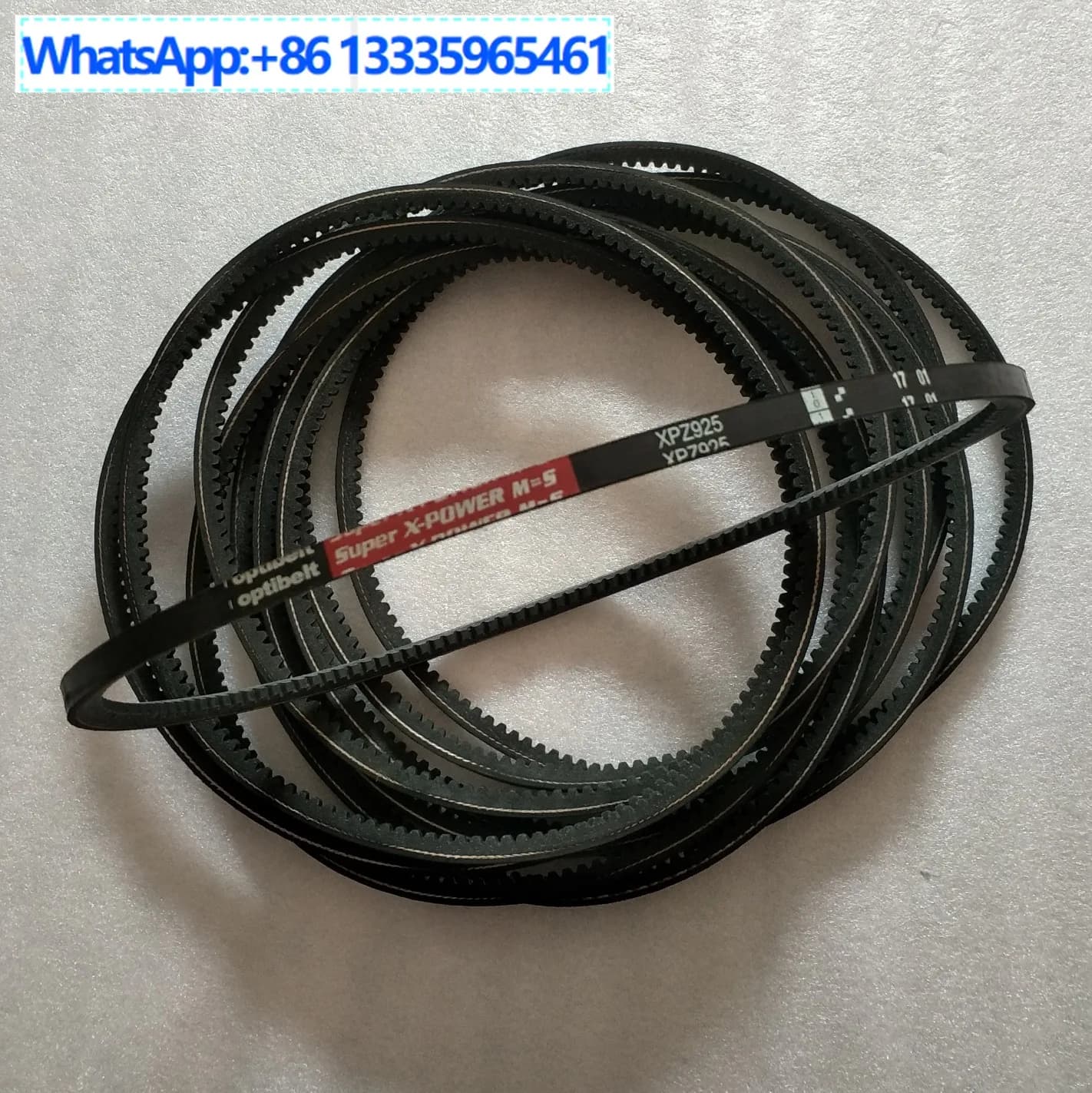 Parti per compressore d'aria Cintura 22189039 Compressore a vite, acquisto consultazione servizio clienti