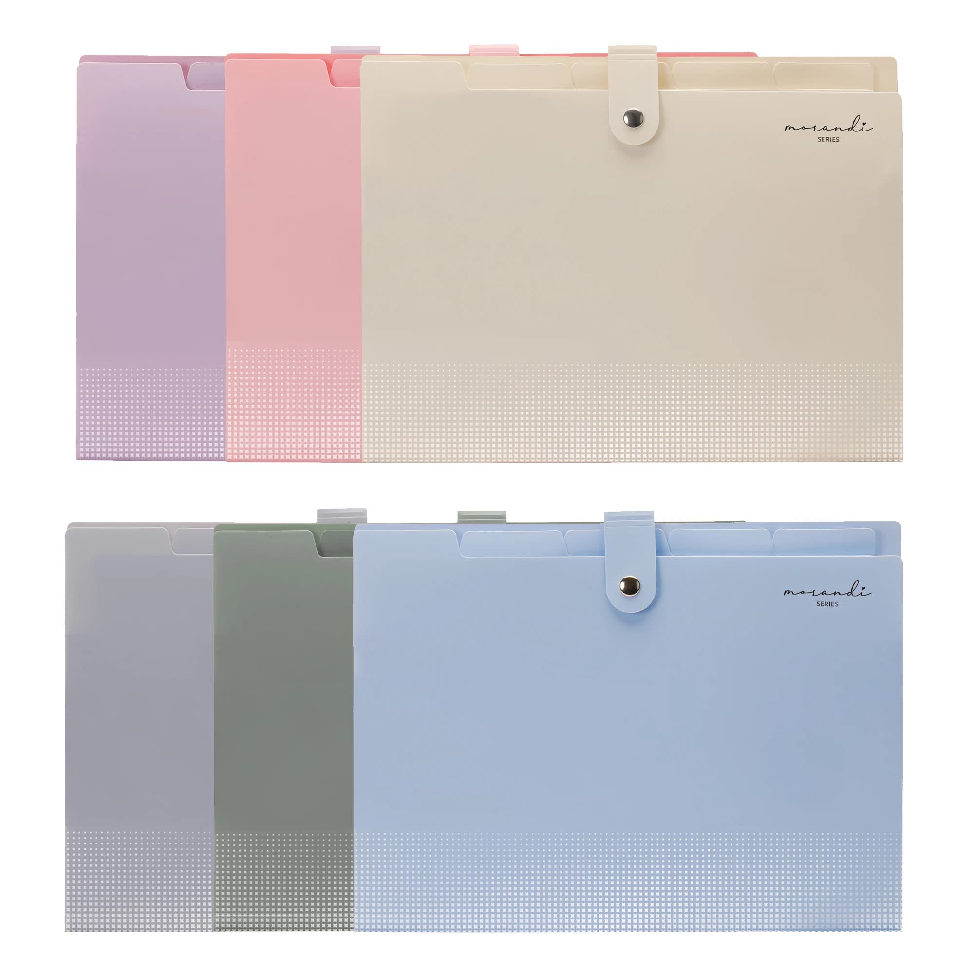 Cartelle Espandibili con 5 Tasche, Organizzatore a Fisarmonica con Etichette, Formato Lettera, Forniture per Casa, Scuola e Ufficio