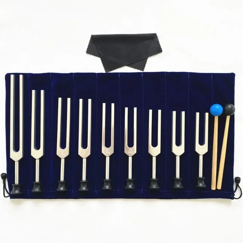 Camerun Diapason Set Medical Diapason Voice Forks Yoga Sound Healing strumento musicale cassetto sintetizzatore pendolo forchetta