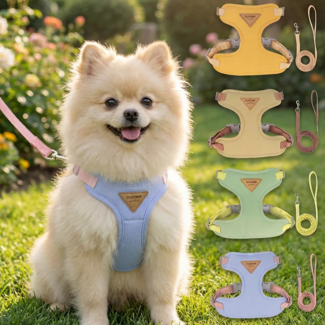 Soft Breathable Mesh Dog Harness and Leash Set, Pet Vest Harness for Small Medium Dogs, Adjustable Puppy Walk