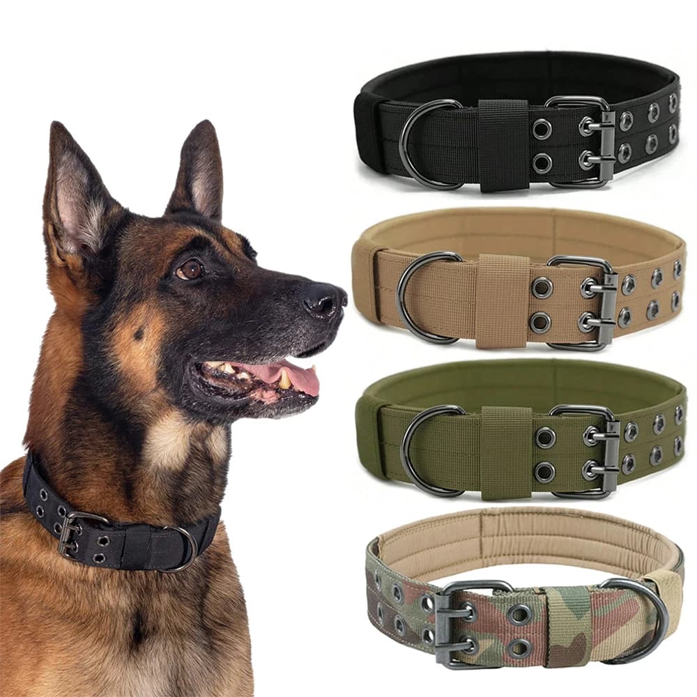 Collare tattico per cani 1pc Collari militari in nylon resistente all'aperto per cani di taglia media che addestrano passeggiate da lavoro Prodotti per animali domestici