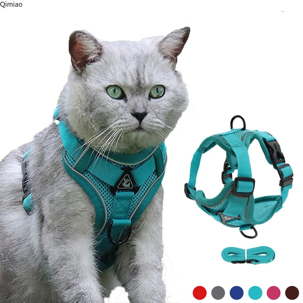 Imbracatura per gatti Imbracatura e guinzaglio per gatti traspirante a prova di fuga per passeggiate all'aperto Guinzaglio per cani da compagnia di facile controllo Imbracatura riflettente