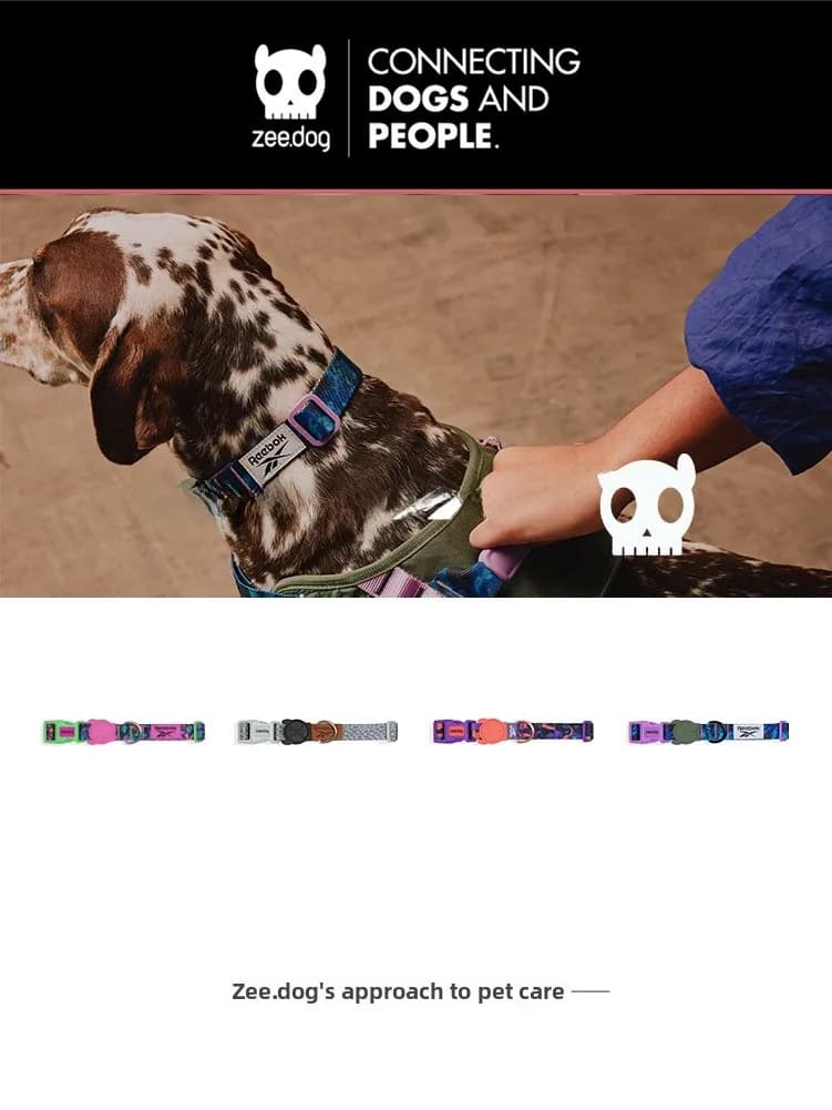 ZeeDog Collare per Cani Universale per Taglie Piccole, Medie e Grandi, Accessorio per Animali Domestici, Comodo Collare per Cani
