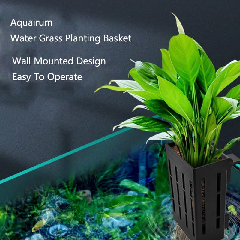Cestino per piantare acquari in plastica supporto idroponico serbatoio per pesci appeso tazza per erba d'acqua supporto per piante acquatiche vasi da appendere a parete