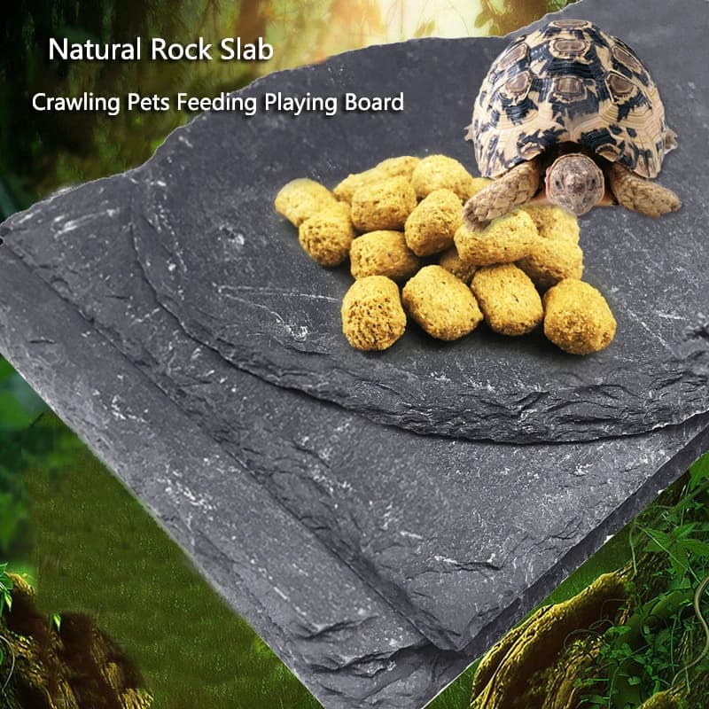 Tappetino per lastre di tartaruga Piatto per ciotola per cibo in roccia naturale Arrampicata Scatola per rettili per animali domestici Acquario ecologico originale Paesaggistica Terrazza Riposo Nuovo