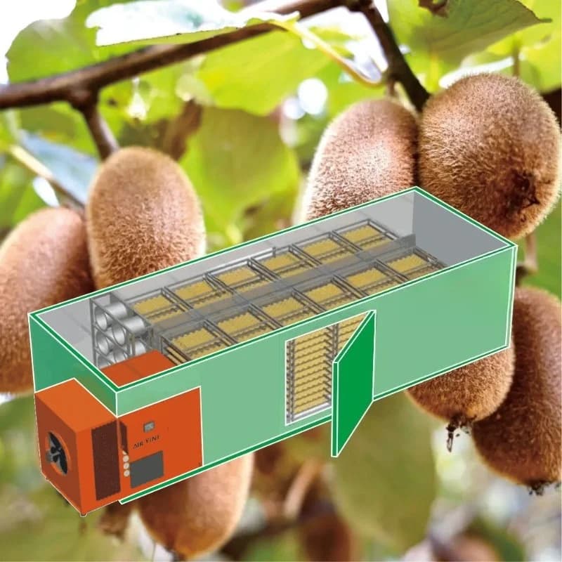 Attrezzatura per l'essiccazione dell'aria calda dei funghi Essiccatore per frutta e verdura Disidratatore per carne Deumidificatore per pesci e frutti di mare Forno per essiccazione industriale