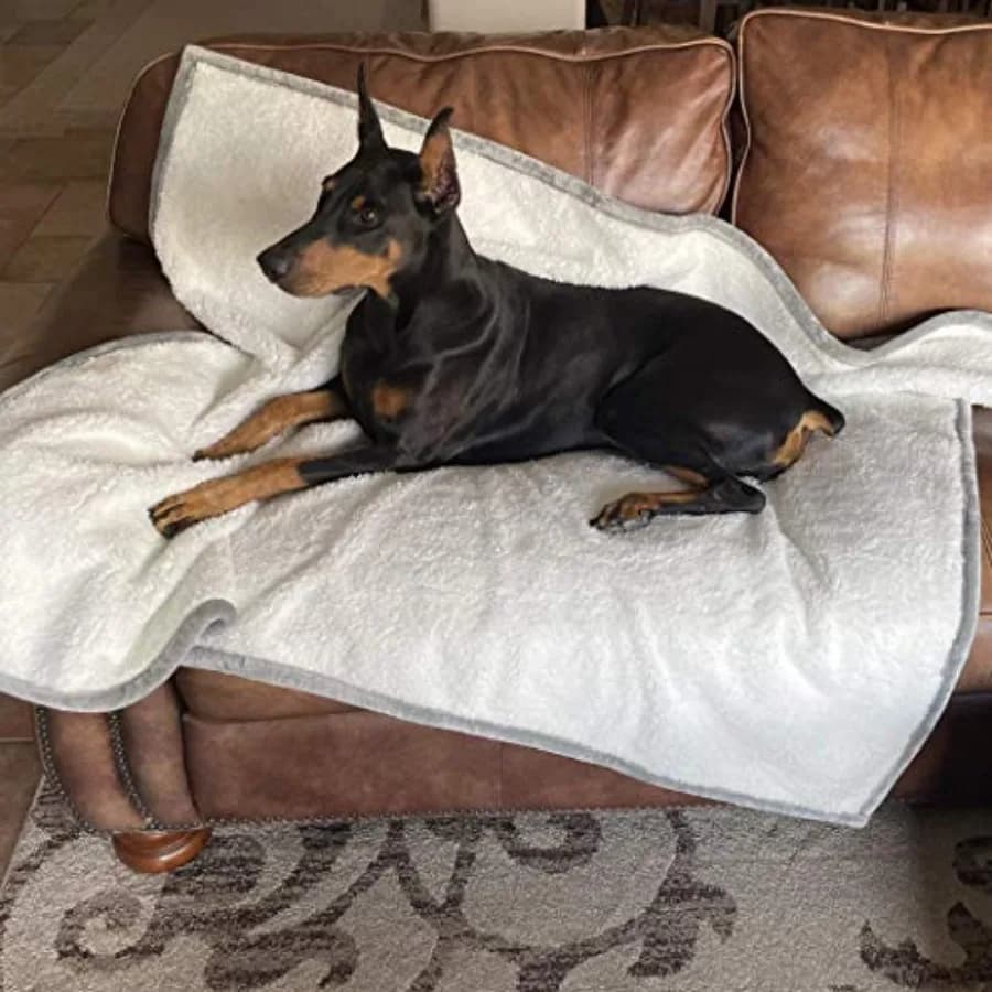 Coperta Impermeabile per Cani in Morbido Sherpa e Microfibra, Protezione Durevole per Divano, Letto o Gabbia, Lavabile in Lavatrice