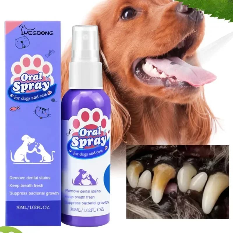 Pet teeth cleaning spray Oral hygiene Remove teeth stains Keep fresh breath for cats and dogs Whitening Remove bad breath
