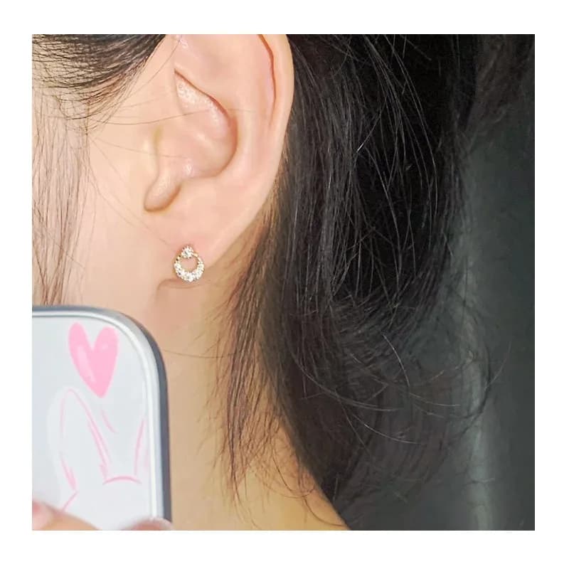 Small and Exquisite Round Ring Stud Earrings, Women's Inlaid Zircon Niche Design Earrings, Light Luxury and Versatile Commuter E