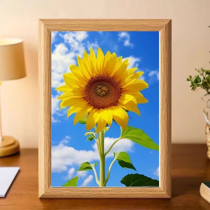 Suower Themed Decorative Picture Frame Sunny Office Living Room Decoration High Aesthetic Value Sunny wth Orientation