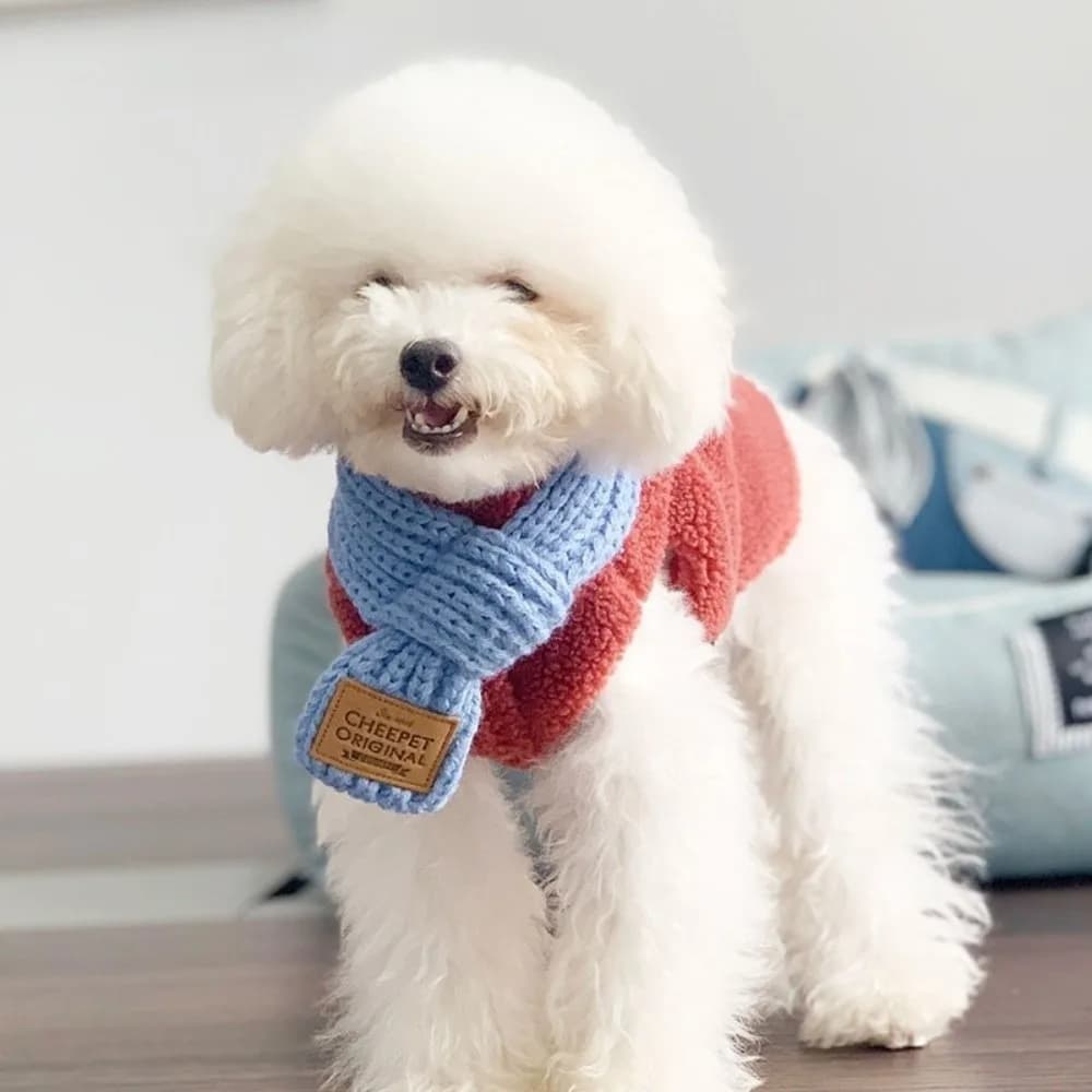 New hot knitted pet scarf warmer anti-winding collar Solid color cold-resistant neck handkerchief accessories for puppies