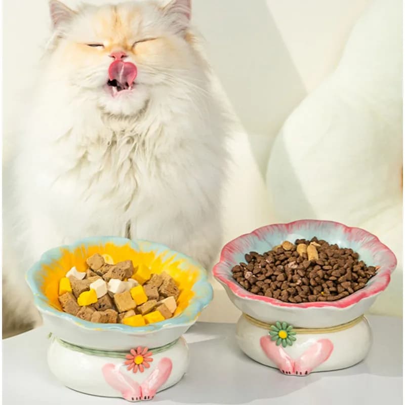 Nuova ciotola per gatti Forniture per animali domestici Ciotole per animali domestici carine Ciotola per cibo per gatti Alimentatore d'acqua in ceramica per accessori per prodotti per gatti
