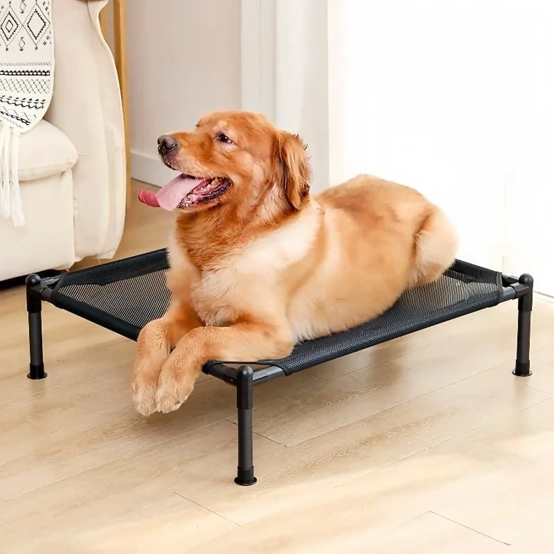 Trasportare animali domestici all'aperto Letto per cani pieghevole indistruttibile Letti per cani Liquidazione Raffreddamento estivo Letto per cani lavabile rinfrescante