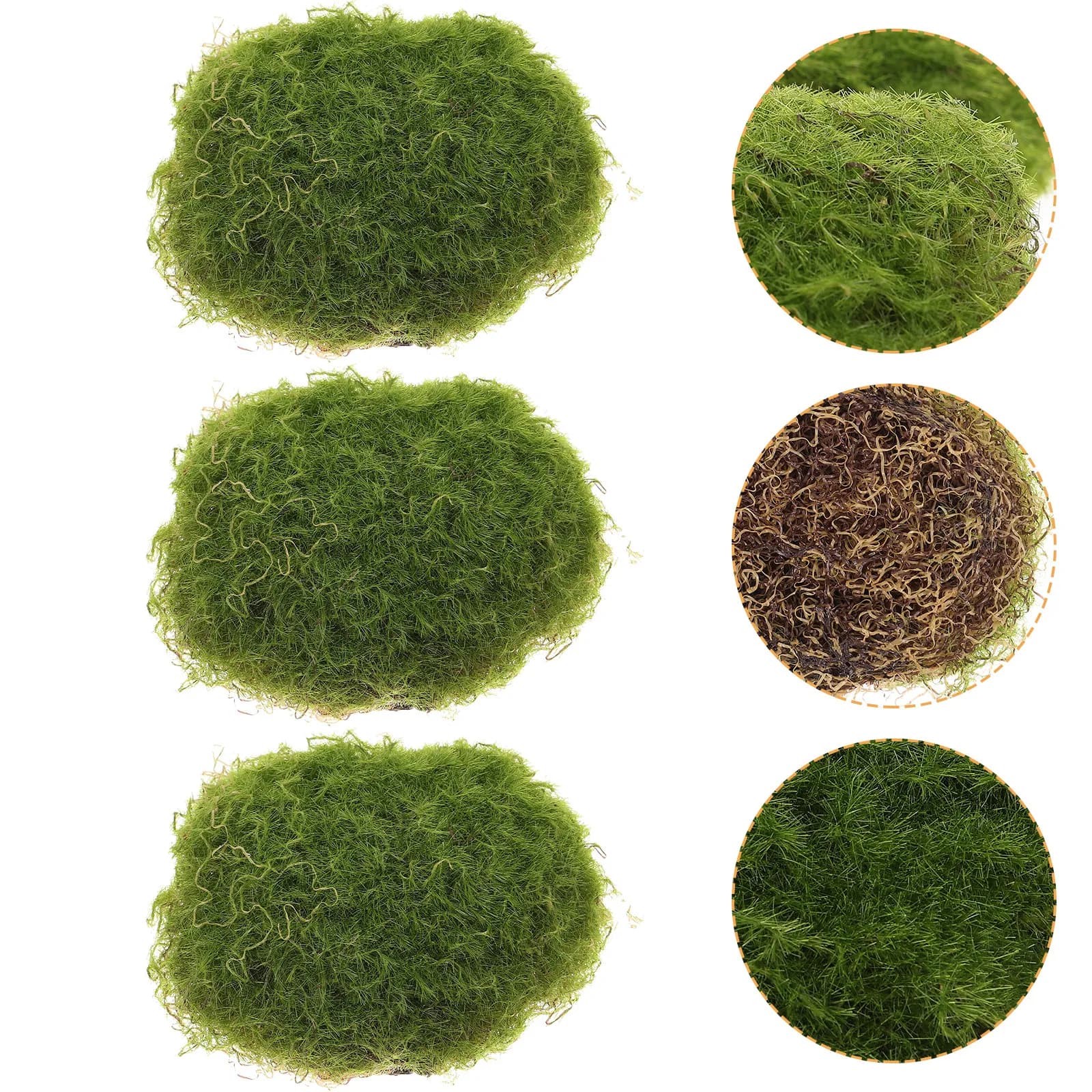 6 Pezzi di Piccole Decorazioni in Pietra con Muschio, Rocce Finte Realistiche per Terrari, Vasi Bonsai, Pareti Vegetali, Sfondi per Micro Paesaggi e Decorazioni Domestiche