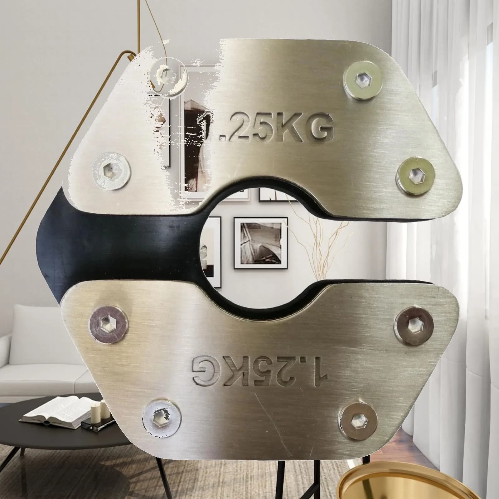Fractional Weight Plate 1.25 Kg Stainless Steel Center Hole 4 Cm for Barbell Dumbbell Controlled Gains