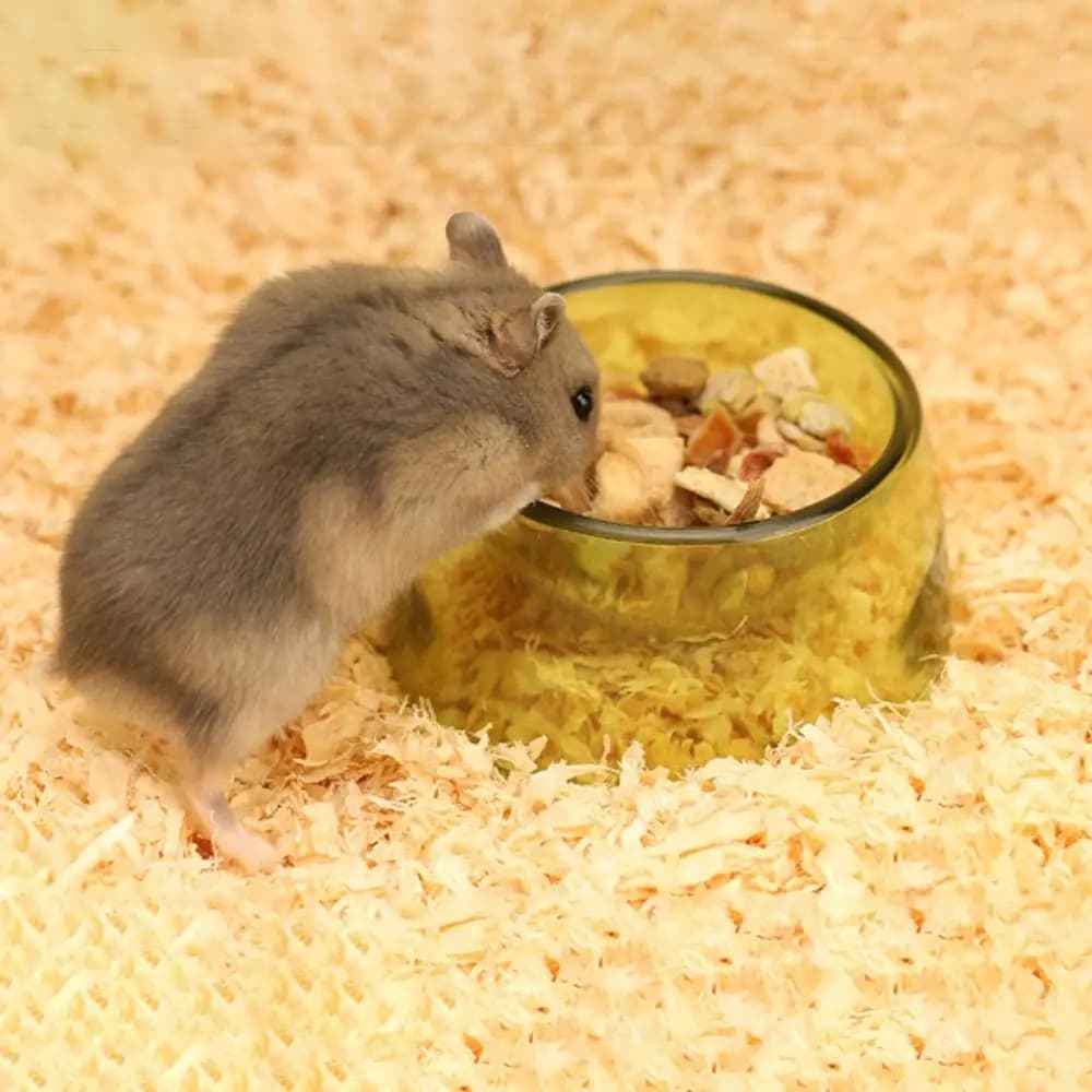 Hedgehog Feeder Bite Resistant Hamster Food Basin Plastic Transparent Hamster Water Bowl Non-slip Pet Feeding Bowl Home