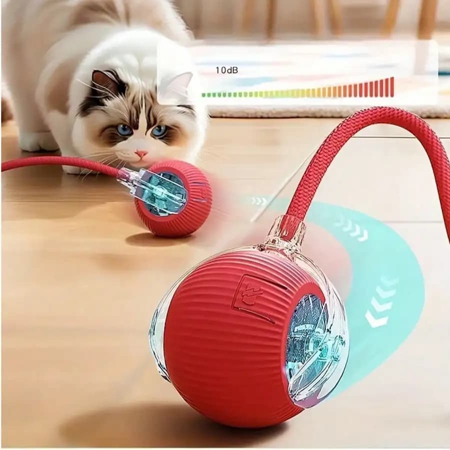 Giocattolo interattivo ricaricabile USB con sfera rotolante automatica per cani e gatti