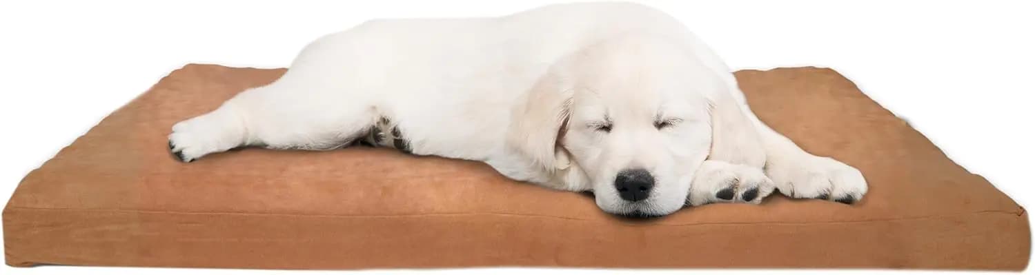 Cuccia per cani con rivestimento rimovibile – Cuccia per animali domestici 44x35 – Materasso ortopedico per cani in schiuma a nido d'ape da 3 pollici, microfibra e non tessuto