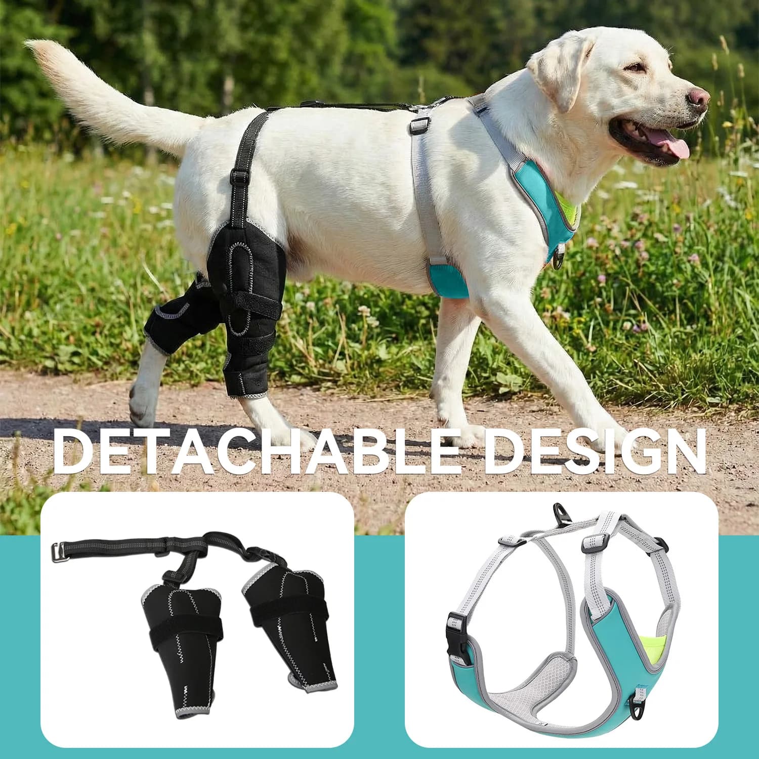 Supporto per Ginocchio di Cane per Zampa Posteriore | Supporto Stabilizzante Regolabile - Riabilitazione, Artrite, ACL | Set di Imbracature Riflettenti per Cani