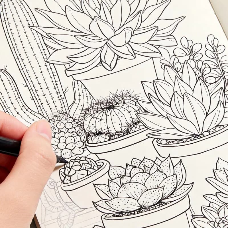 One Stress Relief Line Drawing and Graffiti Coloring Book, Themed Around Ocean Conch Starfish/succulent Cactus/ice Cream Dessert
