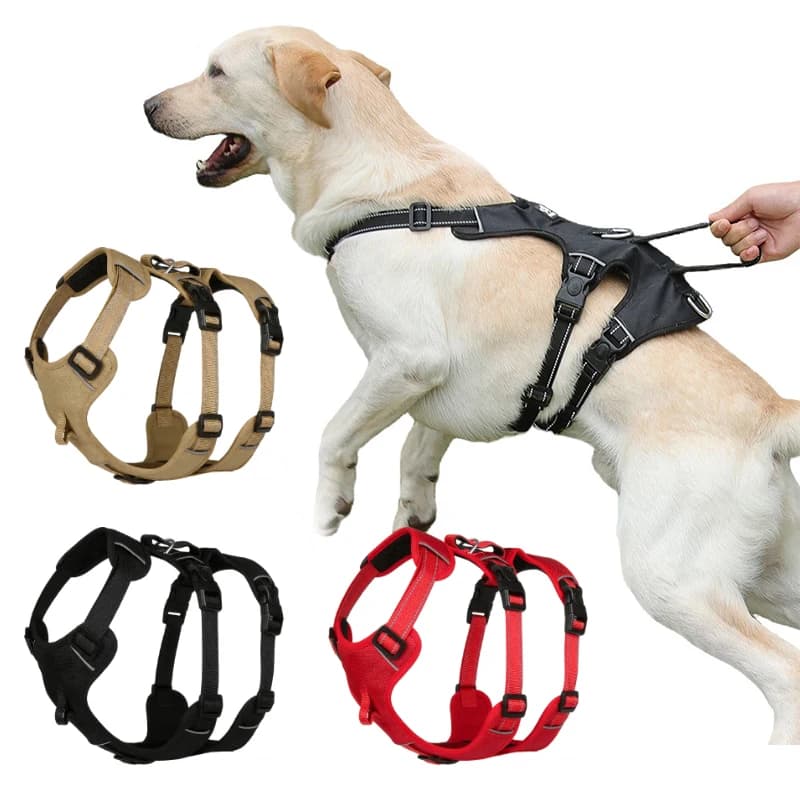 Imbracatura Anti-Fuga per Animali Domestici, Guinzaglio per Cani Medi e Grandi, Imbracatura Stile Gilet Anti-Fuga, Robusta per Cani ​ ​ Imbracatura antideflagrante
