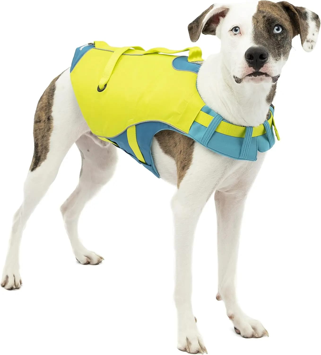 Giubbotto di Salvataggio Regolabile per Cani con Finiture Riflettenti per Animali Domestici di Taglia Piccola, Media e Grande in Giallo/Blu, Comodo Gilet Galleggiante