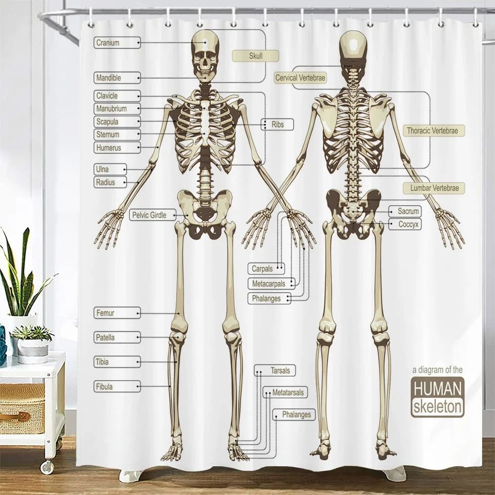 Medicina Struttura del corpo umano Grafico Modello Bagno Tenda da doccia Decorazione impermeabile Tende da doccia con ganci Schermo da bagno