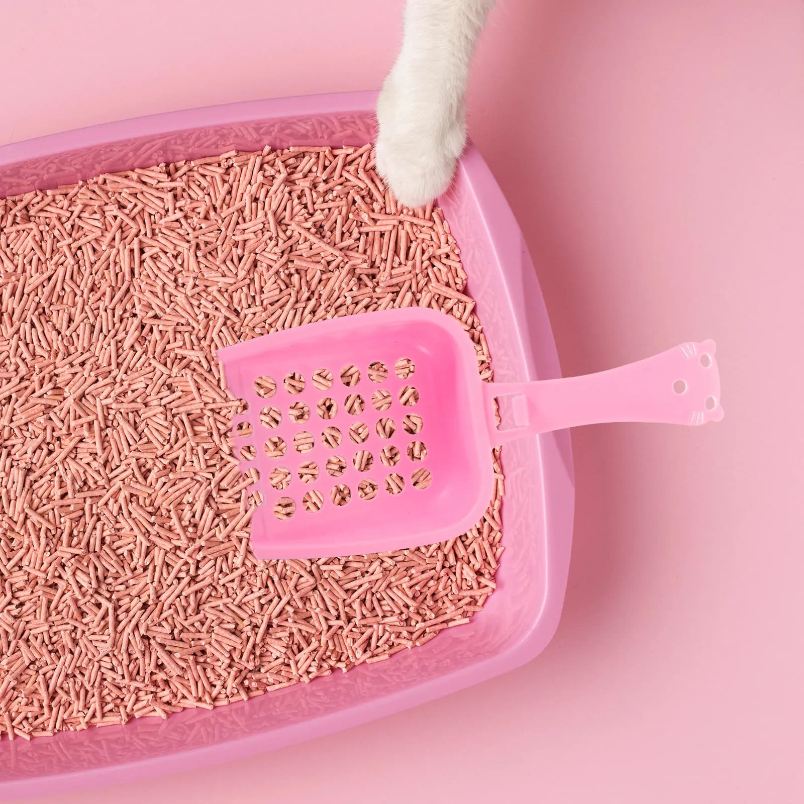 1Set Cat Litter Scoop Set Plastic Shovel Easy Clean Reusable Cat Poop Shovel Efficient Sand Leakage Comfortable Grip