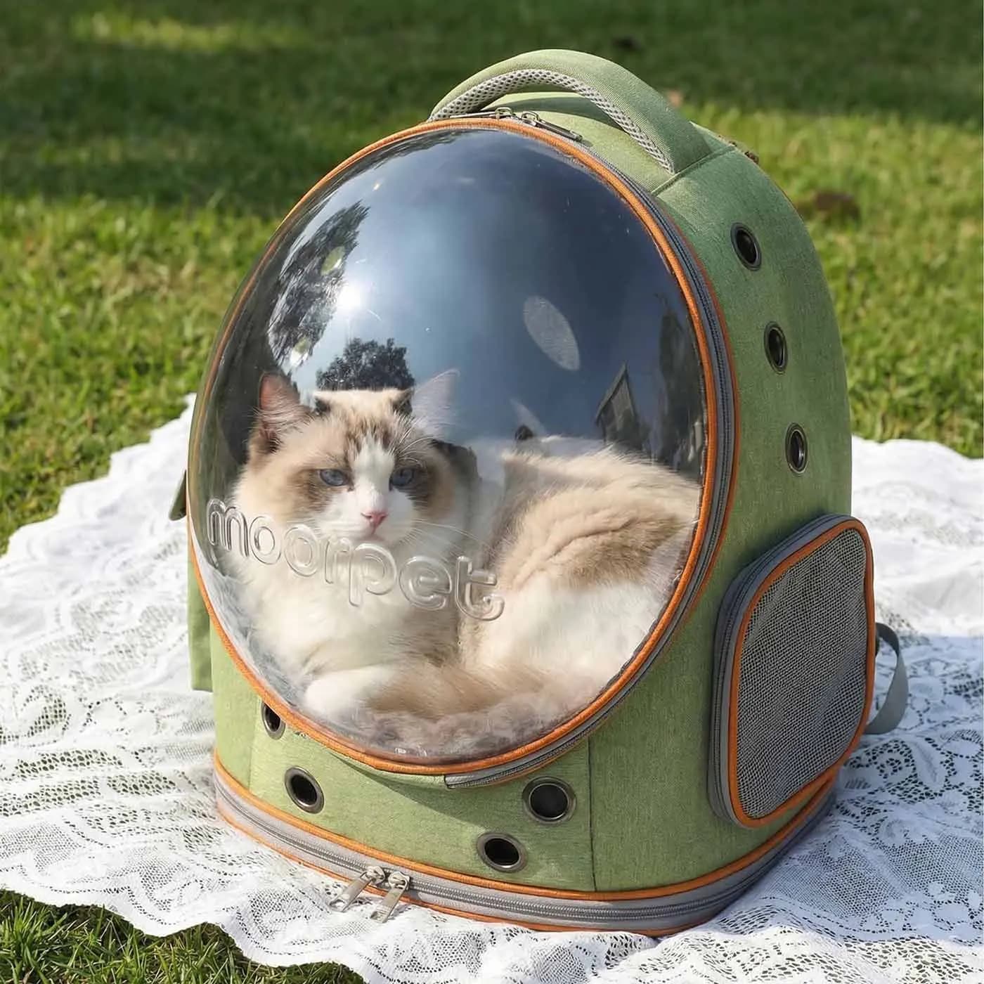 Zaino per Gatti a Forma di Capsula Spaziale, Traspirante, Portatile e Trasparente, Trasportino per Cuccioli