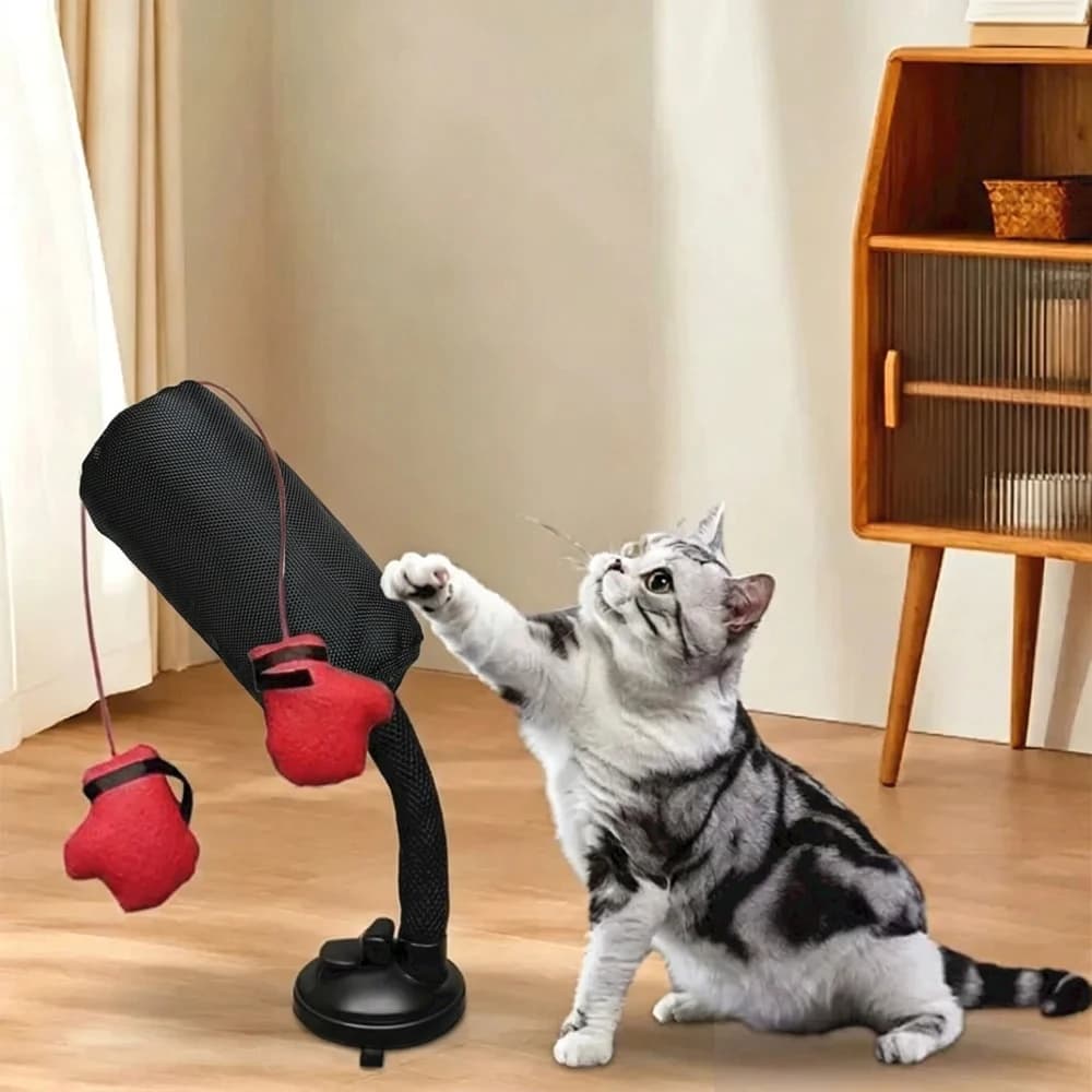 Boxing toys for cats shaped as a cartoon with gloves and suction cup, for kittens and adult cats, casual color, shipping included