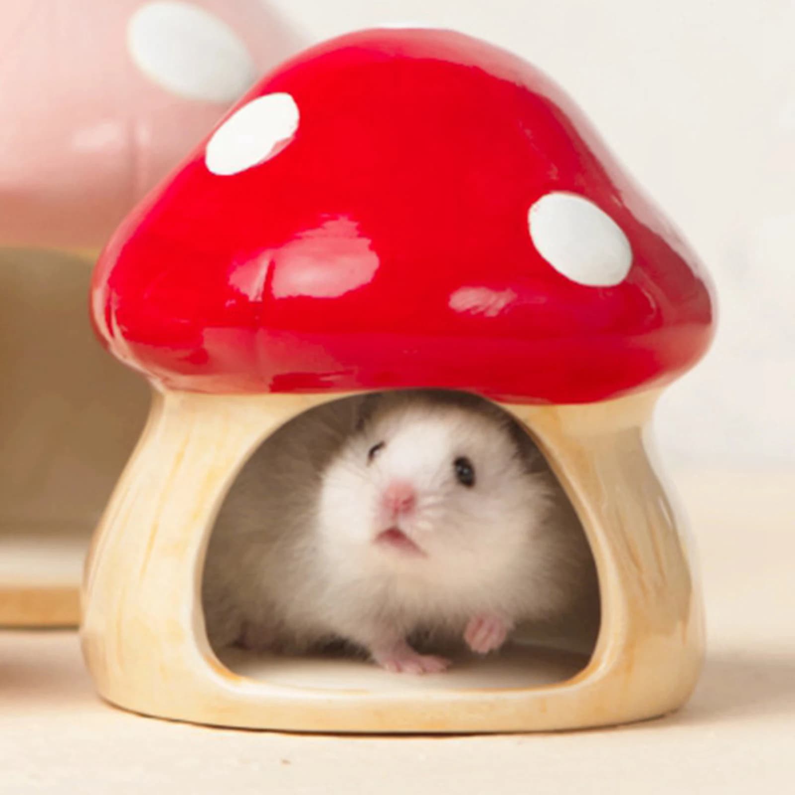 Casetta per Criceti a Forma di Fungo in Ceramica, Habitat per Piccoli Animali da Esterno con Ciotola per Cibo, Decorazione per la Casa, Regalo per Amanti dei Criceti