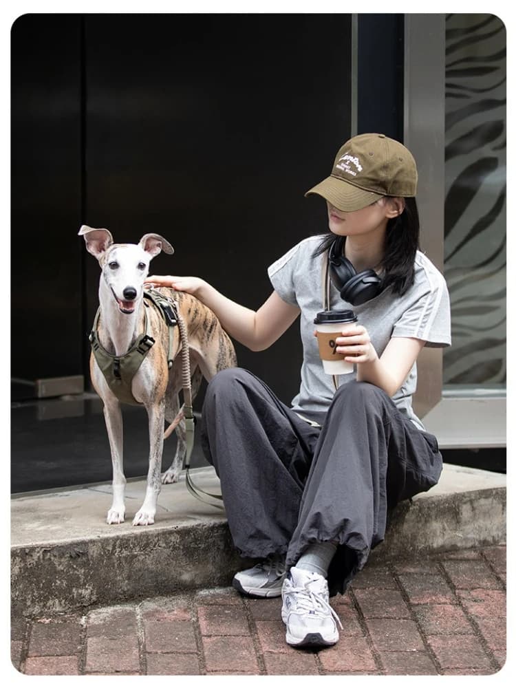 Pettorina per Cani Leggera e Traspirante, Anti-Trazione, Regolabile, con Fibbia Laterale Facile da Indossare