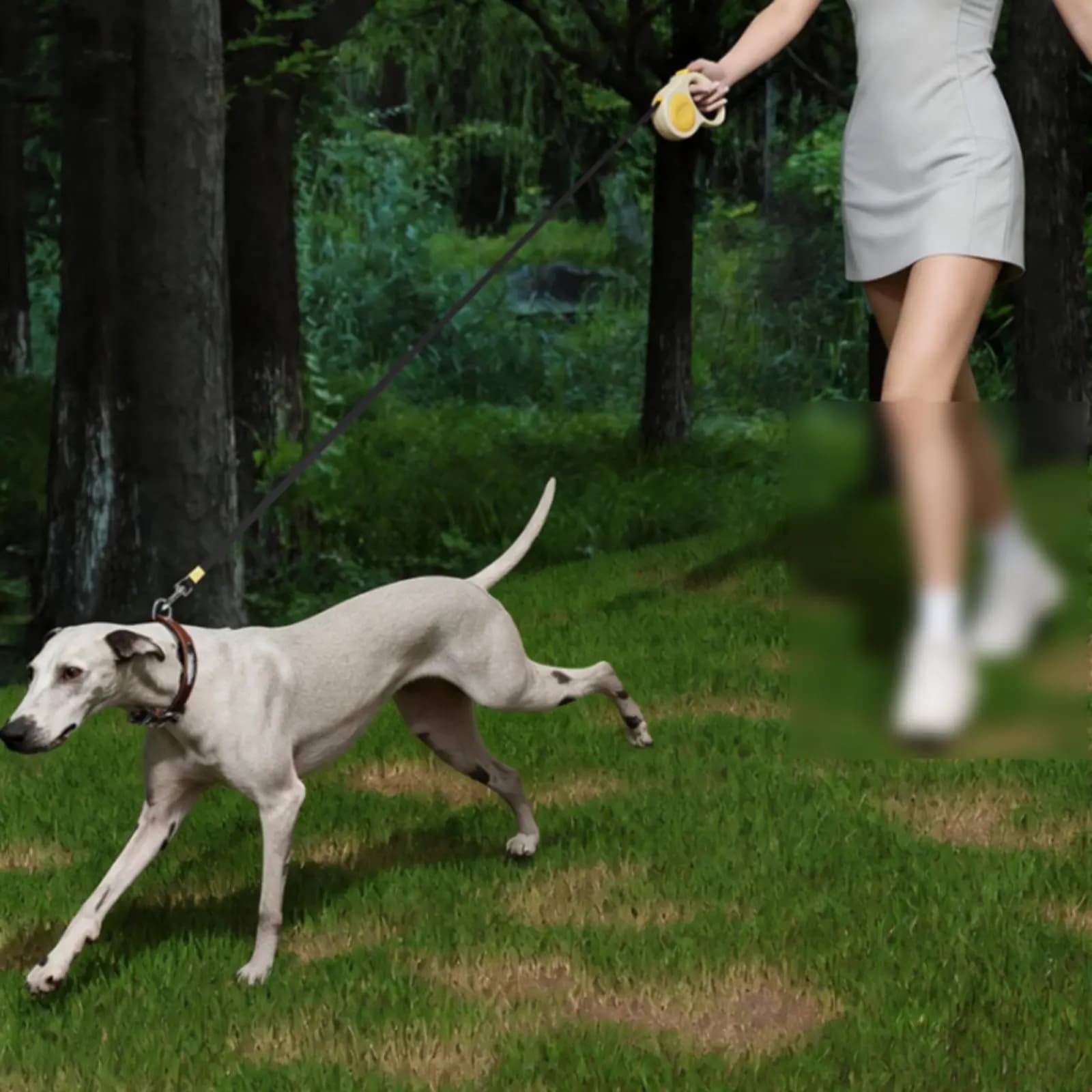 Guinzaglio Automatico Retrattile per Cani con Freno a Una Mano, Rotazione a 360 Gradi, Girevole in Acciaio Inossidabile