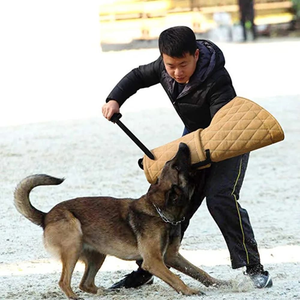 Guaina Protettiva per Addestramento ai Morsi per Pastore Tedesco, Malinois, Cani K9