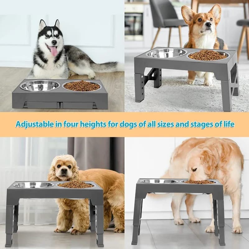 Ciotola per cani con alimentatore lento Piatto per alimenti per animali domestici rialzato regolabile Protezione per il collo in acciaio inossidabile Portaoggetti per doppia ciotola