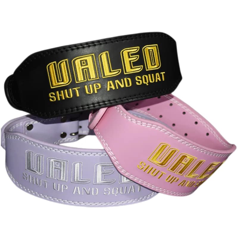 Cintura di sollevamento pesi per uomo donna ricamo palestra cintura Fitness cintura colorata Powerlifting per Deadlift Squat Back & Waist Support