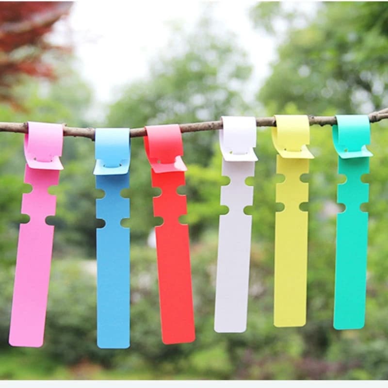 50 pezzi impermeabili per vivaio, giardino, vaso per piante, pennarelli, palo di plastica legato, etichette per piante, etichette appese, etichette per semi di prato