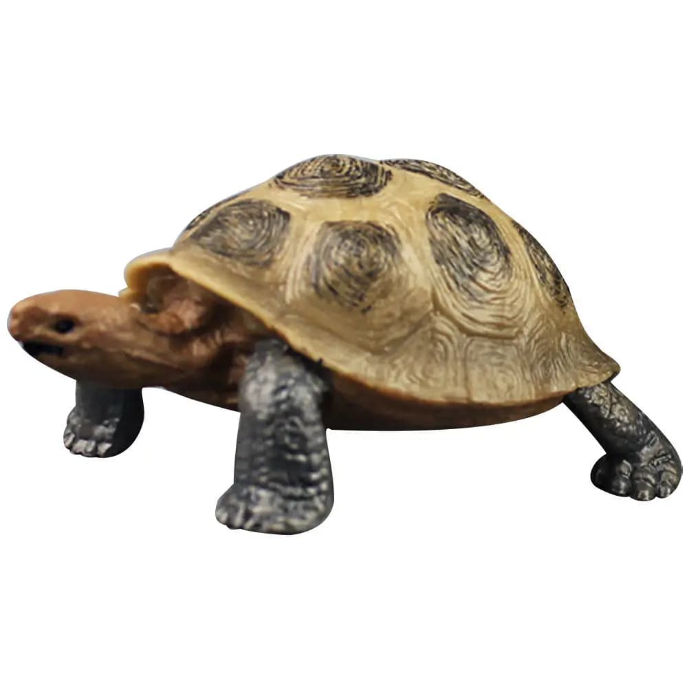 Tartaruga Terrestre in Plastica Colorata Realistica Educativa Decorazione da Scrivania Animale Oceanico Giocattoli Realistici