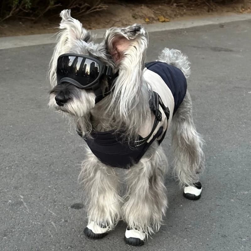Tuta da neve impermeabile per cani con imbracatura per cani incorporata Giacca invernale per cani adatta a tutti i cani