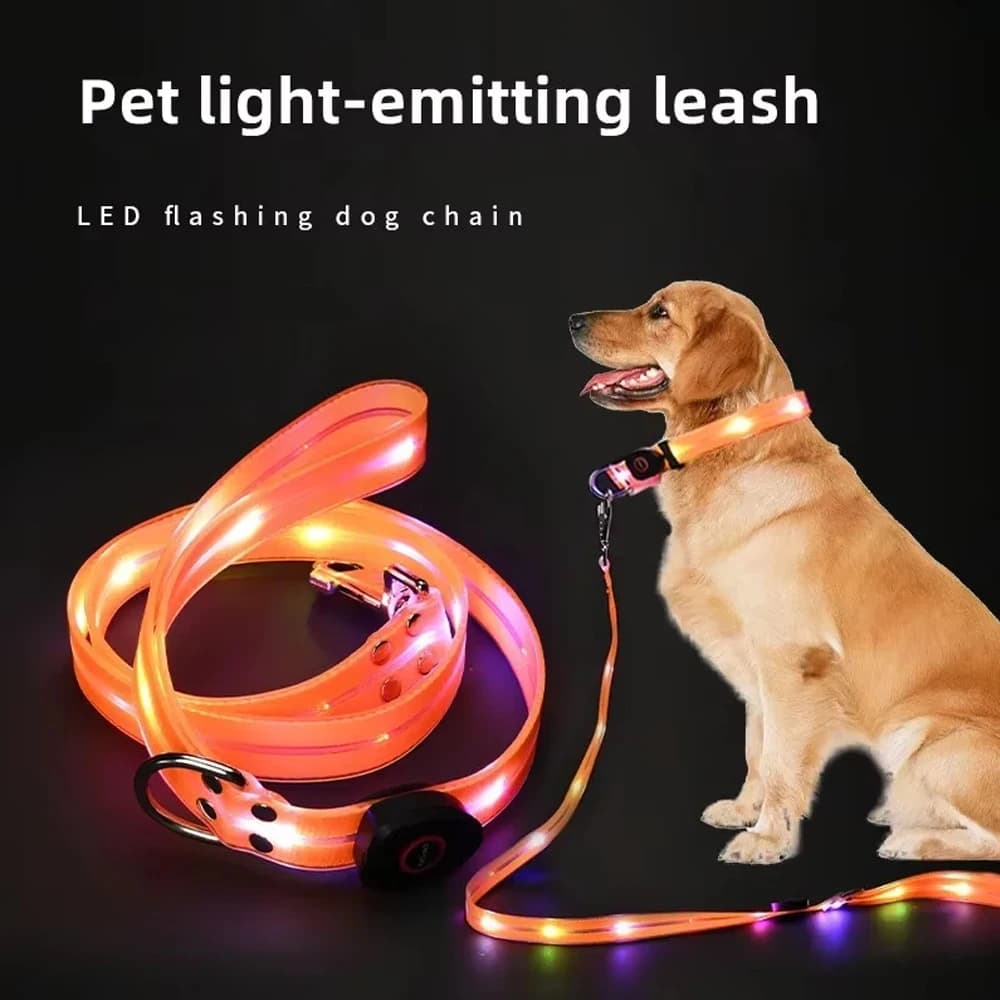 Collare e Guinzaglio LED Regolabile per Cani, in PVC Impermeabile, Anti-Sporco, Facile da Pulire, per Cani Grandi e Piccoli, Cuccioli e Gatti, Collare Luminoso