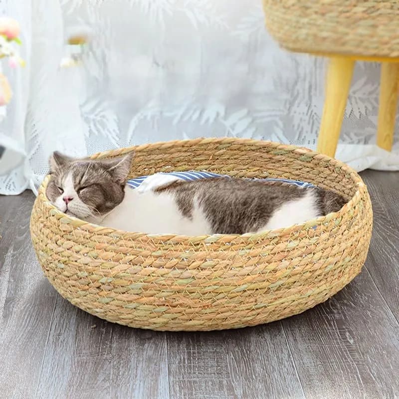 Cucce per cani rosa a forma di U in lana anti-sporco per cuccioli grandi, estive, profonde, classiche, solide, imbottite, decorative e foderate