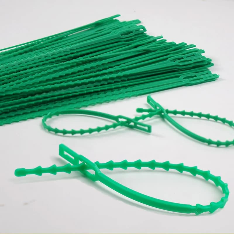 I fascette per piante sono dispositivi di fissaggio riutilizzabili, supporti per arrampicata su alberi da giardino, viti e clip per steli di pomodoro