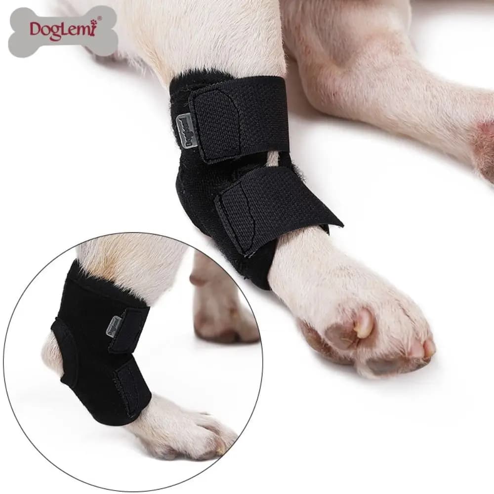 Protezioni per Ginocchia in Neoprene per Animali Domestici, Nere, Traspiranti, Supporto per Zampe di Cani, Ausili per la Cura delle Articolazioni, Forniture per Animali