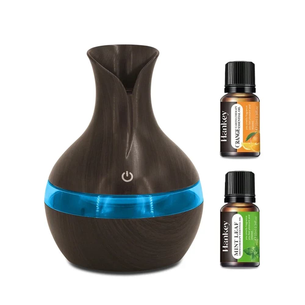 Umidificatore USB da 300 ml e diffusore per aromaterapia - Mini nebbia fredda per casa, ufficio, viaggi, auto, camera da letto Vapor d'aria ad ultrasuoni silenzioso