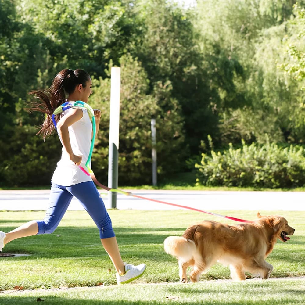 Guinzaglio a Catena per Cani Piccoli e Grandi, Prodotti per Animali Domestici, Guinzaglio per Corsa a Mani Libere in Nylon