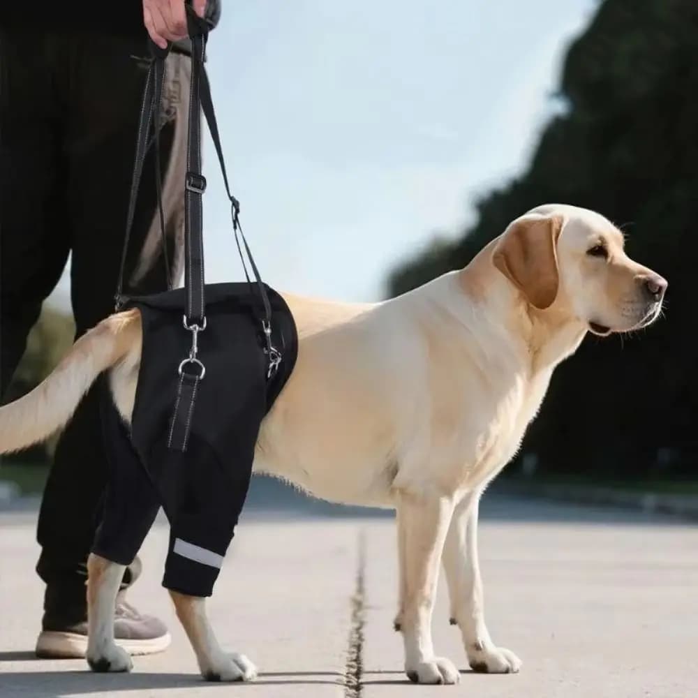 Legs Hip Support Dog Lift Harness Adjustable Sturdy Handle Dog Rear Leg Support Soft Padded Black Pet Aid Assist Tool