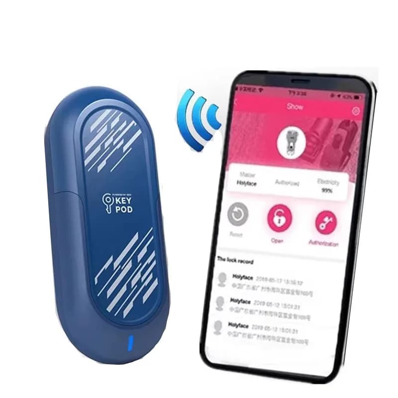 APP Remote Lock Key Pod Chastity Cage Key Box Outdoor Intelligent Control Cock Cages Male Chastity Belt Device Accessories
