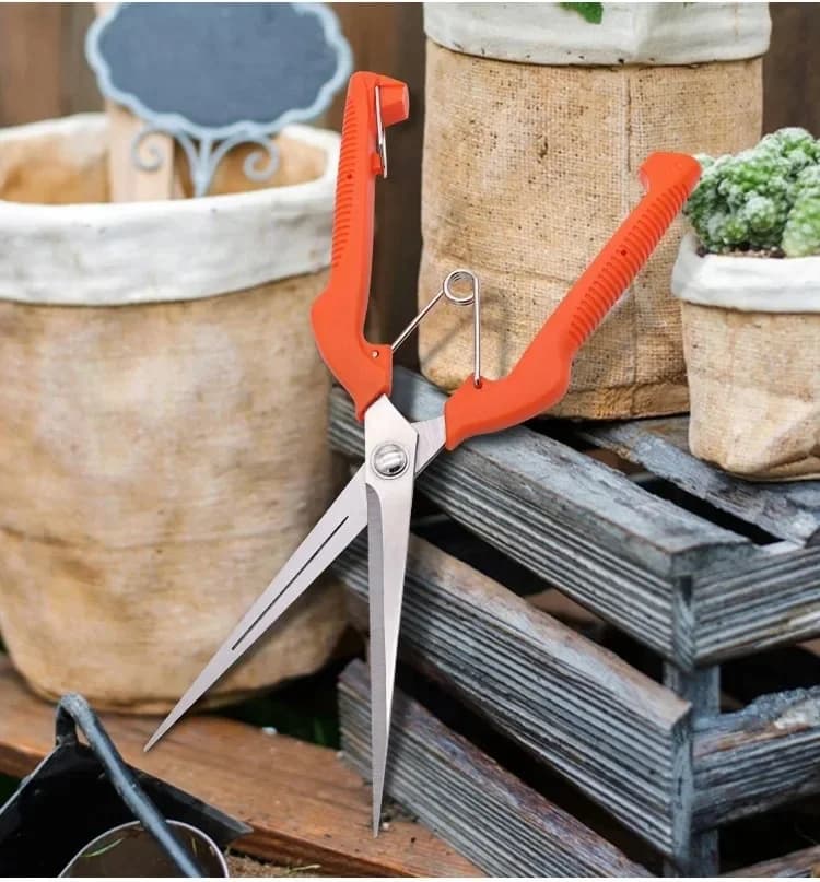 Garden pruning shears Professional stainless steel bonsai shears New hand tools for portable gardening Shears for fruit collection
